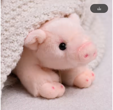 1pcs Cute Little Pig Miyoni Plush Toy Kawaii Stuffed Animal Piggy Soft Doll Sleep Companion Gift For Girl Boy